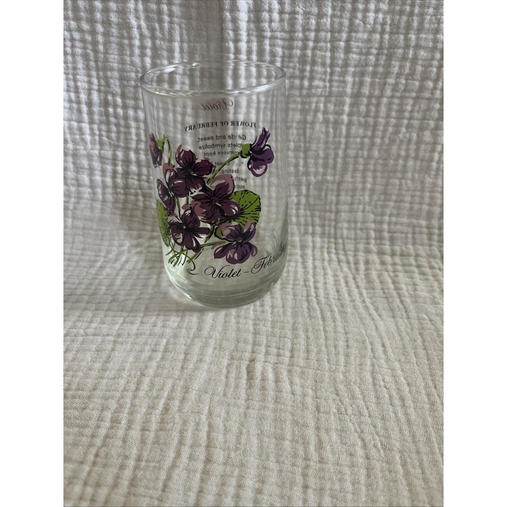 Vintage Brockway February Violet Flower Of The Month Drinking Glass